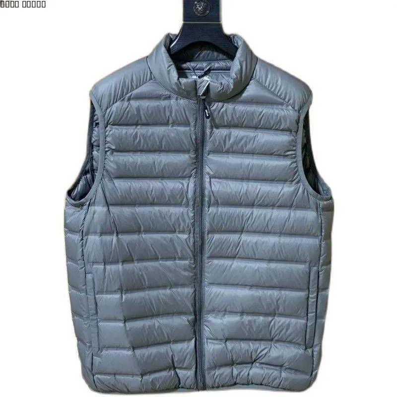 Pure Color Men's down Cotton Jaet Durable Water-Resistant 600 Fill Power Winter New Sle ort Length Not Hooded ...