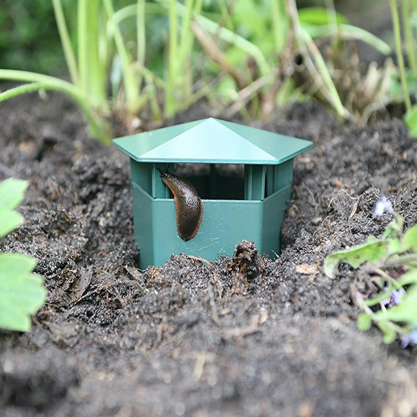 1 Stück/3 Stück Schneckenfallen Wiederverwendbar Tragbar Einfach zu Bedienen Schneckenfänger für Garten Bauernhof Terrasse Rasen Aquarium Fischbecken