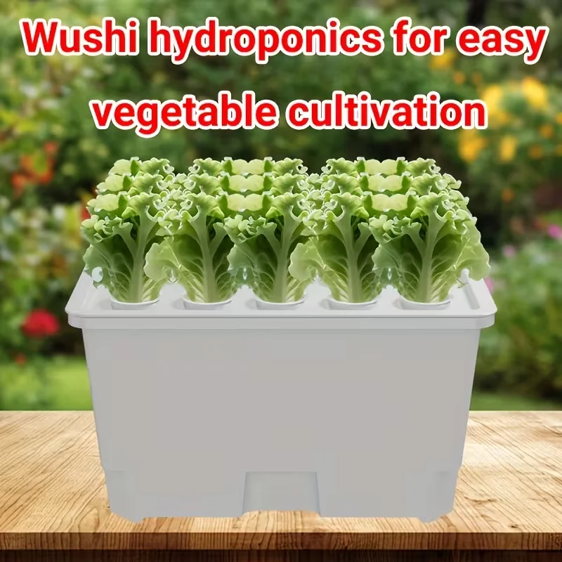

Microgreens Sprout Tray Germination Tray Double Layer Sprout Hydroponics Tray Plate Nursery Pots Soilless Cultivation Planting