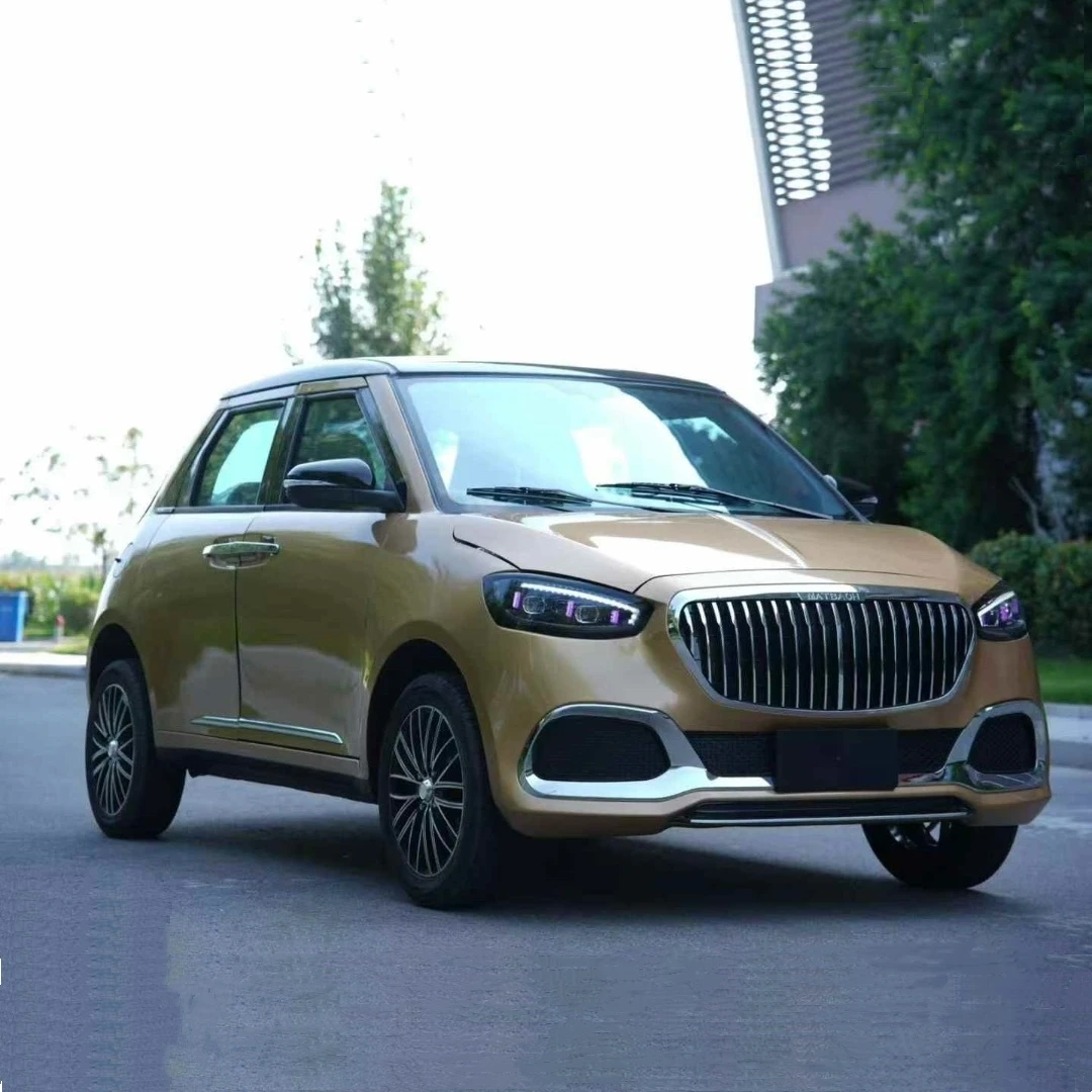 YzhgbElectric vehicle New maintenance-free low-speed  4-seat fully enclosed Small  Electric mini  Daily use