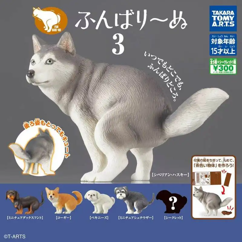 Auf Lager: Japanische authentische Kotierende Schnauzer-Figur, hockender Hund, Gashapon-Kapselspielzeug, Desktop-Ornament, Heimdekoration