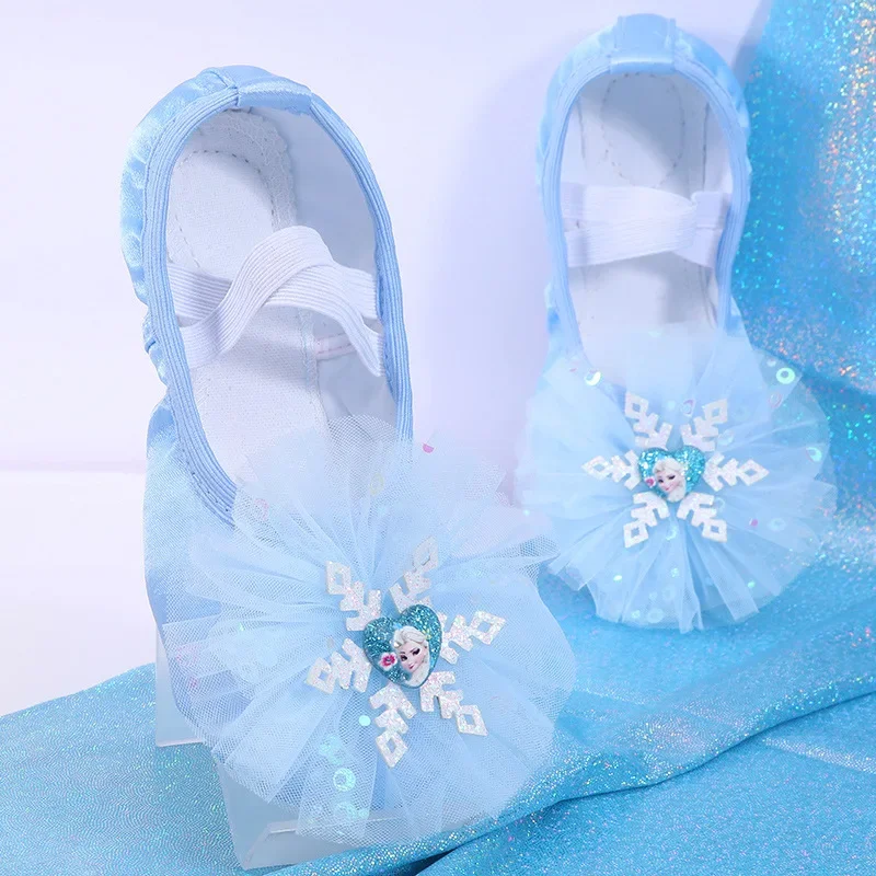 New Ballet Dance Shoes Yoga Gym Flat Slippers Ice shape Pink Blue Ballet Dance Shoes For Girls Children to Women Size