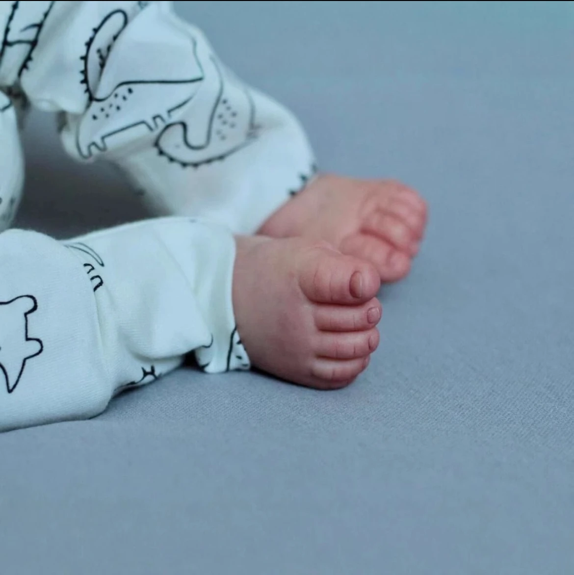 Bambola Reborn Pascale Heirloom da 19 pollici, corpo morbido ponderato, ciuccio magnetico e ciglia artigianali, regalo certificato CE per bambini