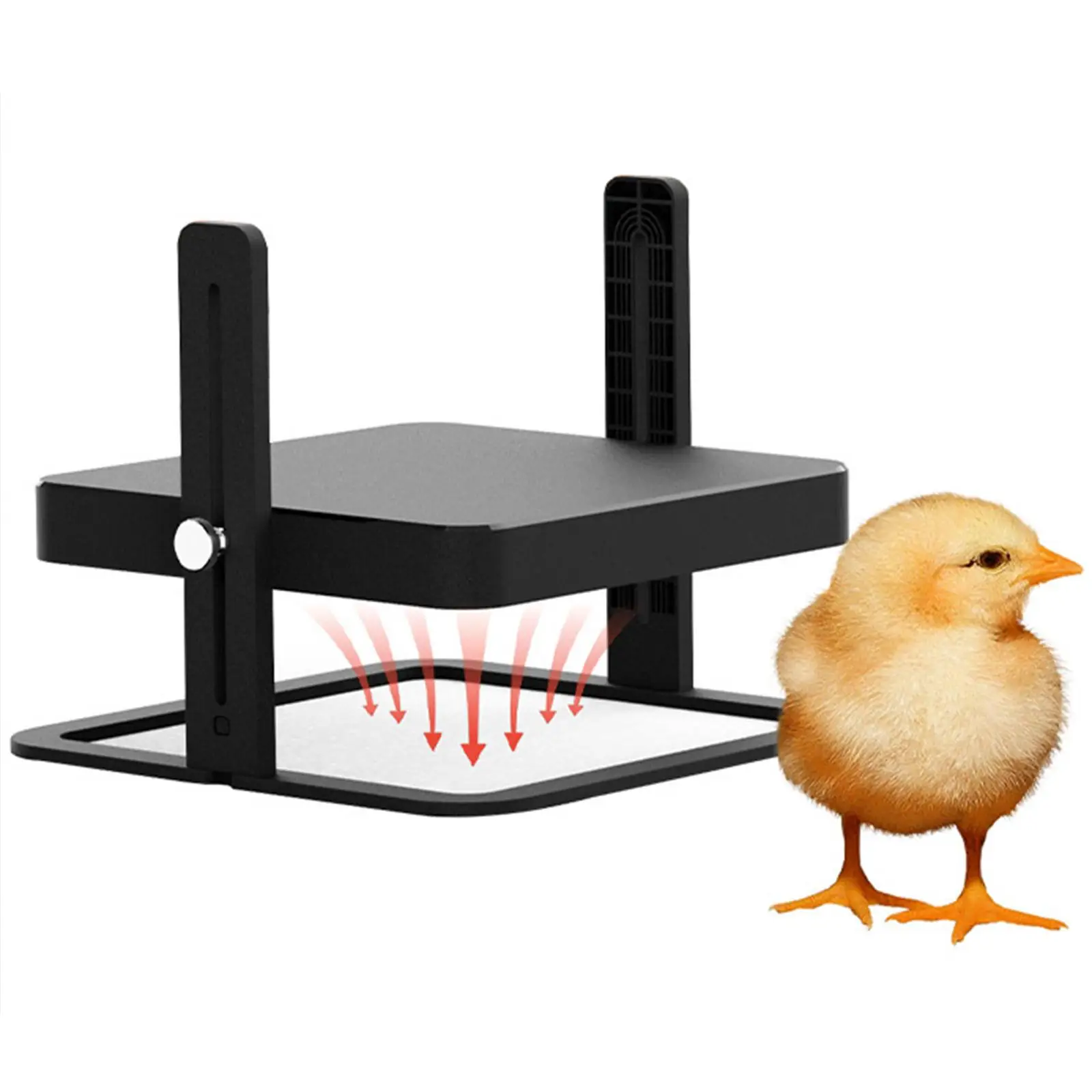 Chick Brooder Heating Board Heater Pad Duckling Adjustable Height Chicken Chicken Warmer