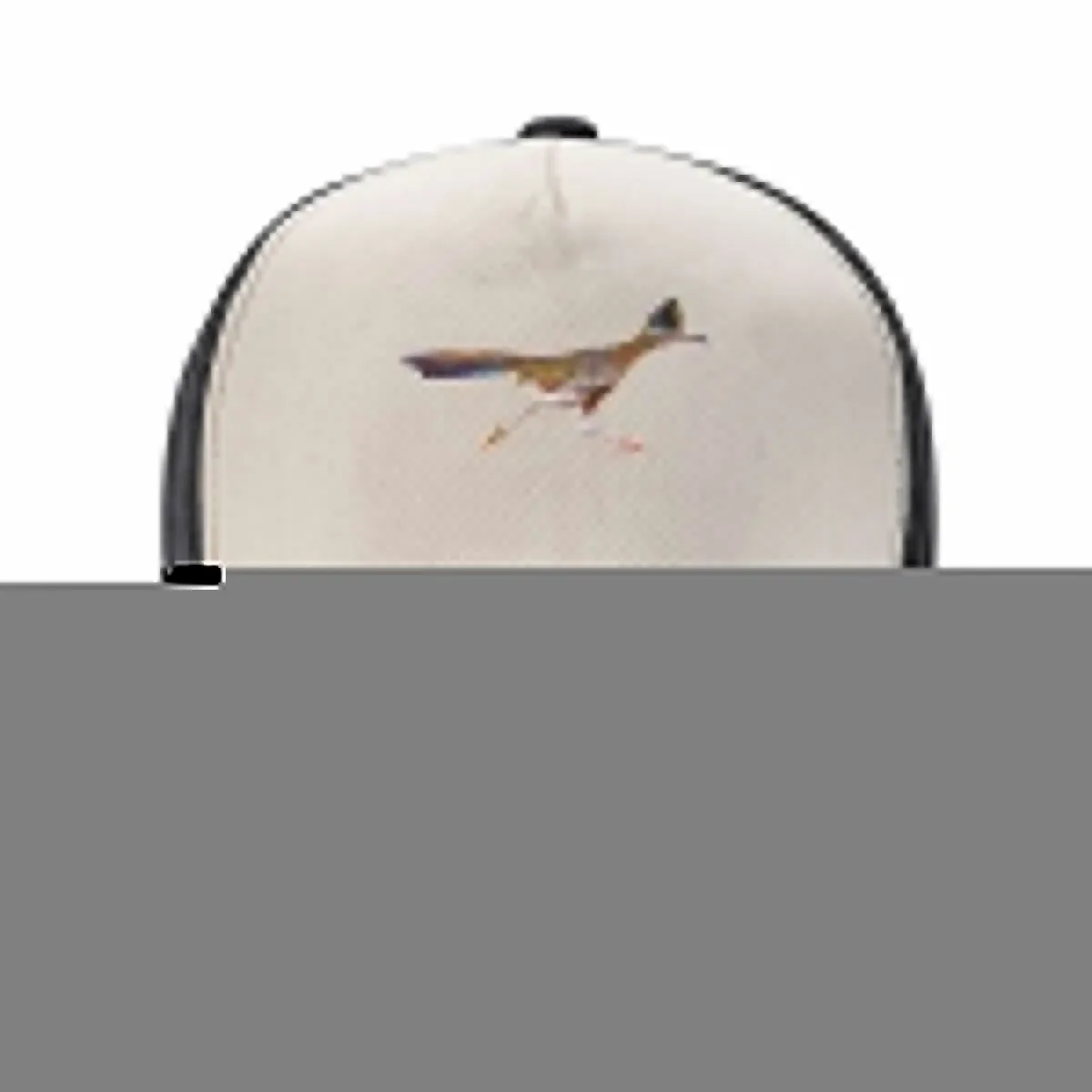 Roadrunner Running Baseball Cap Beach Outing birthday New In Hat Men Golf Wear Women's