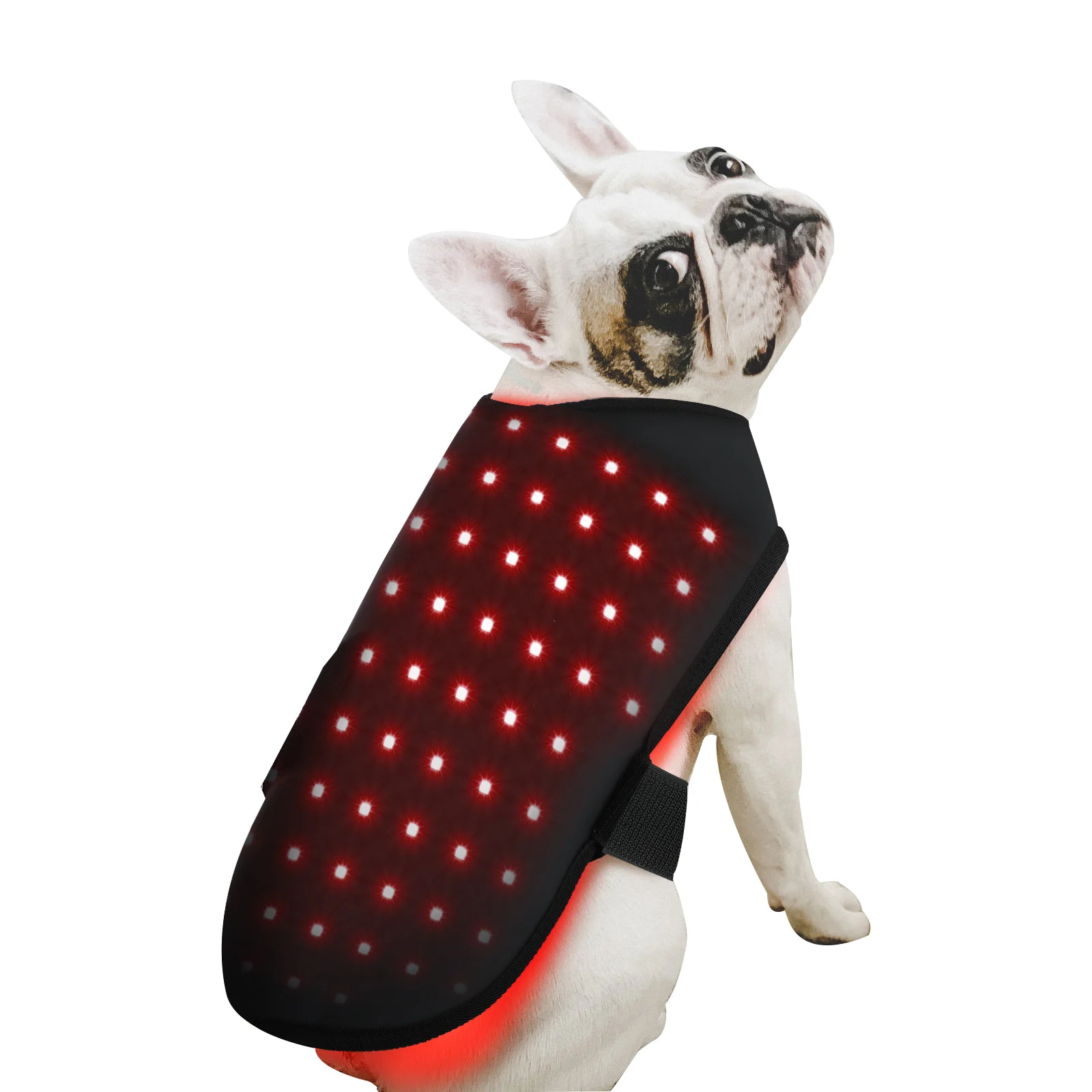 

Veterinary Use Red Light LED Therapy Physiotherapy Equipment For Pet Pain Relief Pain Reduce Light Therapy Coat For Dogs