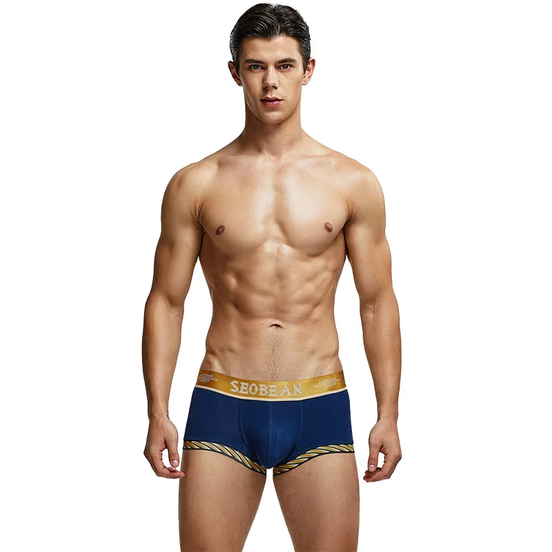 2025 European and American style men's underwear, men's cotton underwear, men's boxers, underwear 00210