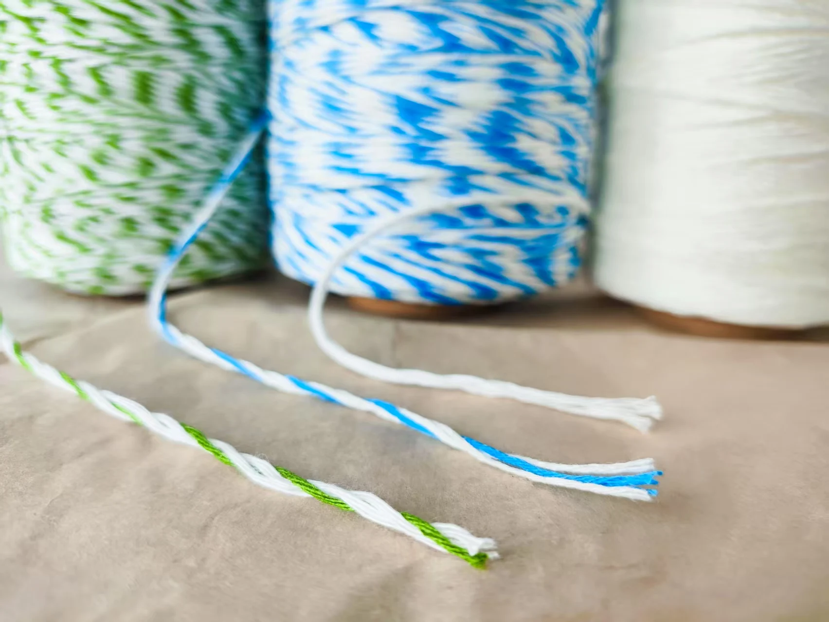 100M Corde biodegradabili compostabili appese verdure frutta serra cetrioli pomodori tralicci piselli ramo cravatte vite