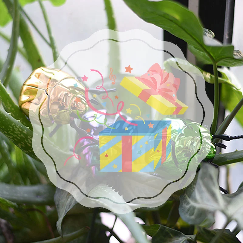 

1 Piece Scarab Beetle Children's Plastic Animals Toy Wind Up Beetle Bionic Toys Creative Prankster Animated Insect Model