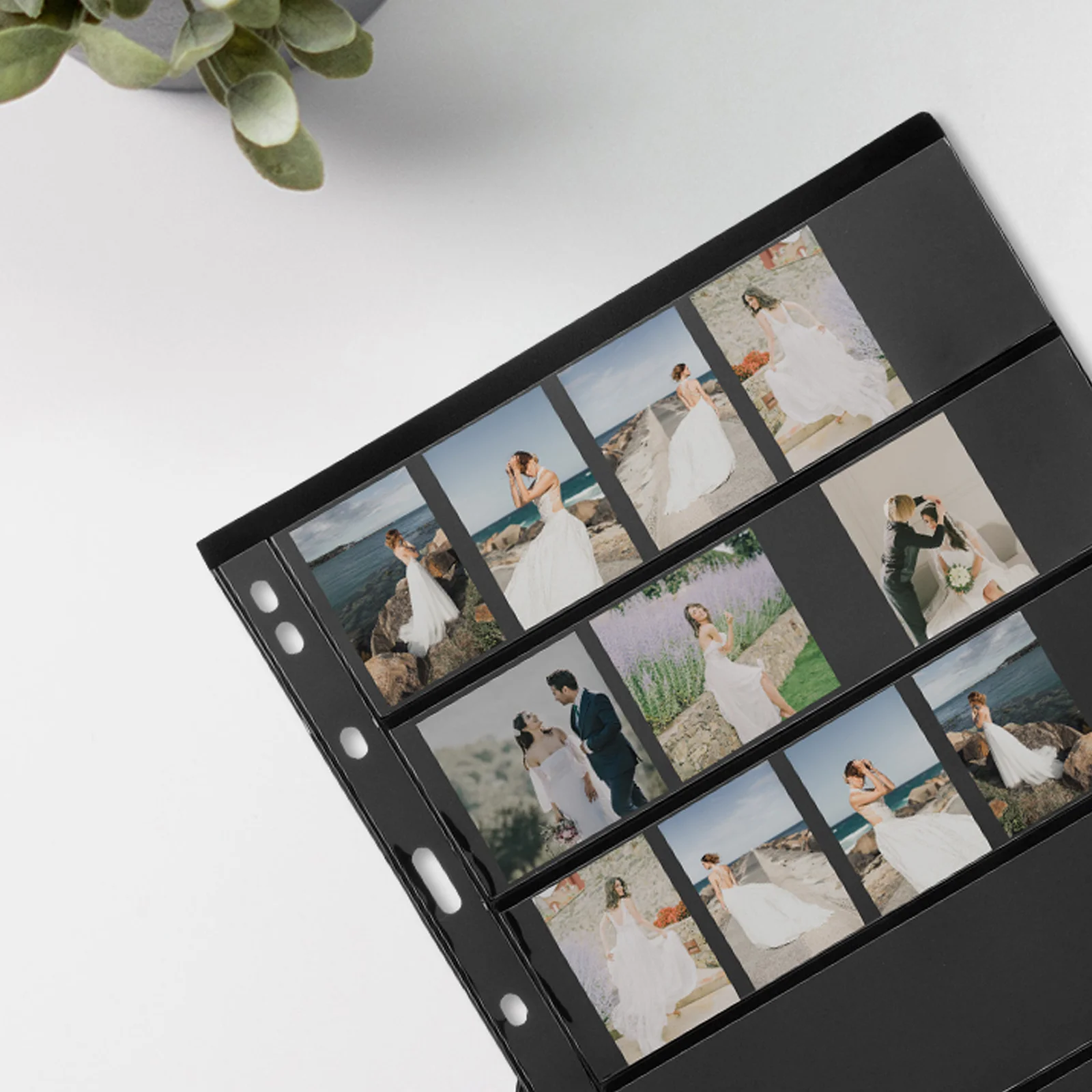 Box Album Ricariche Raccoglitore di archiviazione Pagine trasparenti per collezionisti