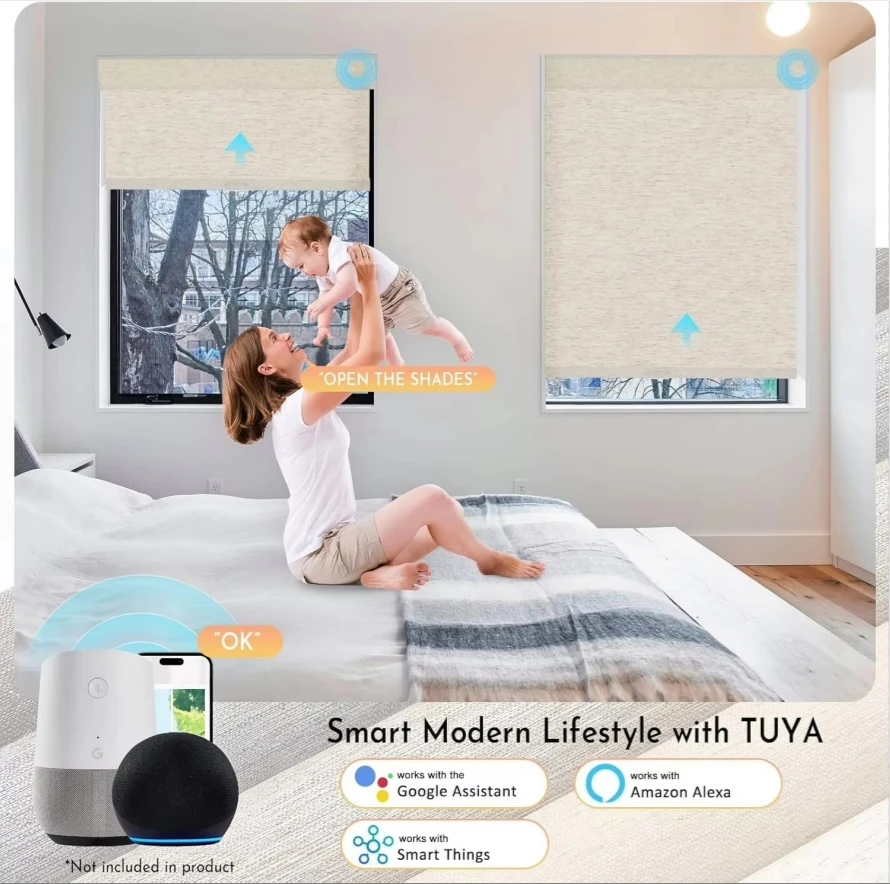 2026 New Design Hot Sale Blackout Linen Fabric Tuya App Homekit Control Motorized Easy Install No Drill Roller Blinds For Home view 2