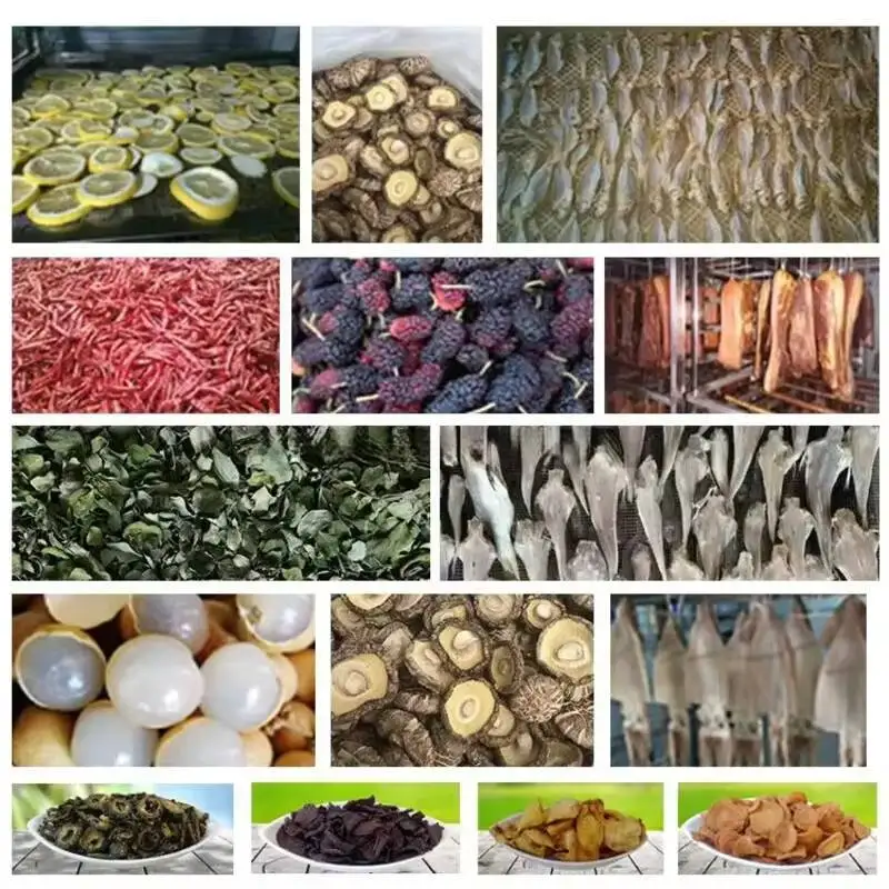 2025 High Quality Food Dryer / Fruit Freeze Drying Hine For Sale