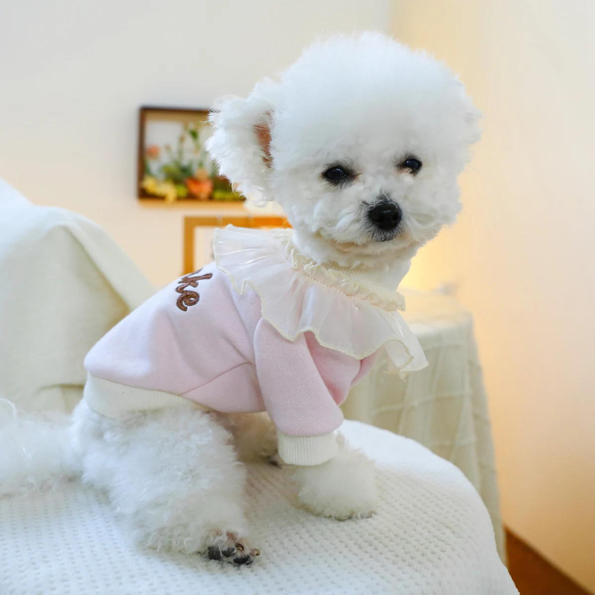 1PC Pet Clothing Cat Spring Autumn Plush Thickened Pink Cake Lace Pullover Round Neck Shirt Suitable for Small and Medium Dogs