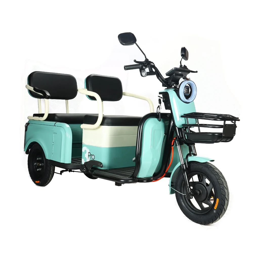 Hot Sale 650W Electric Trike 3 Wheel Electric Bicycle Adult Cargo Electric Tricycle With Basket