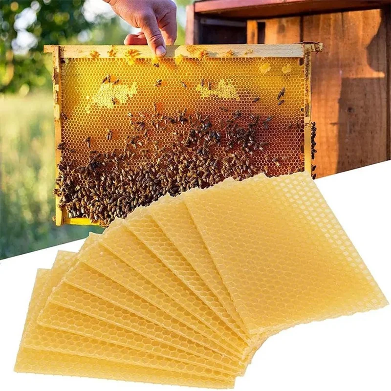 10pcs Bee Wax Foundation Bee Hive Wax Frames Base Sheets Bee Comb Honey Frame Beeswax Sheets Beekeeper Equipment