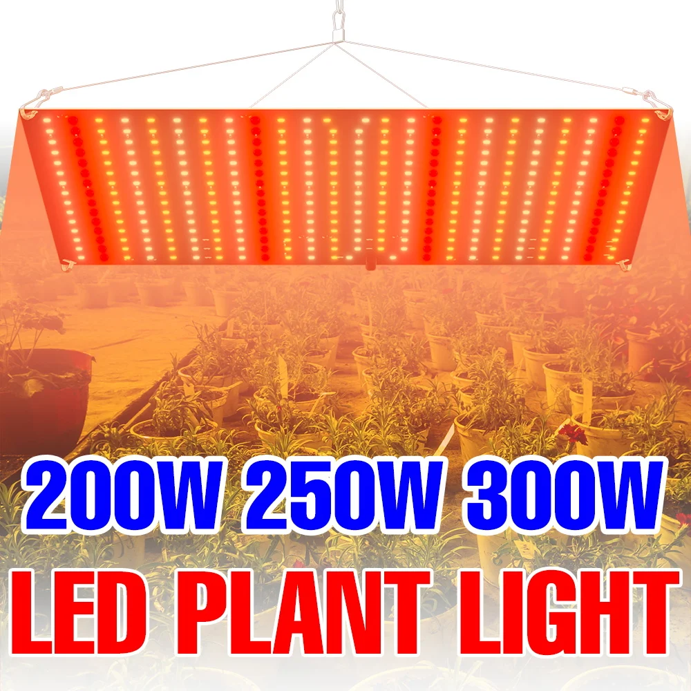 หลอดไฟ LED สำหรับปลูกพืช 300W สเปกตรัมเต็ม 100-277V ไฟปลูกพืชในร่ม ควอนตัมบอร์ด สำหรับเพาะเมล็ด ปลูกพืชในโรงเรือนและเต็นท์ ให้แสงสว่างเสริม