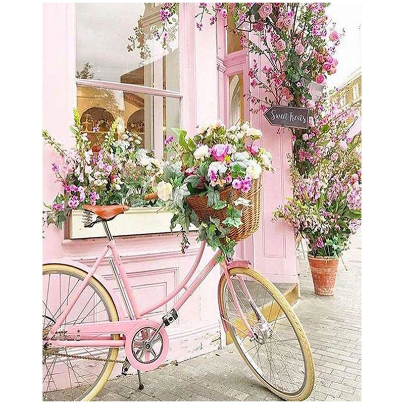 

Paint By Numbers For Adults,DIY Painting Kit For Beginners,Bicycle Acrylic Painting Is Suitable For Living Room