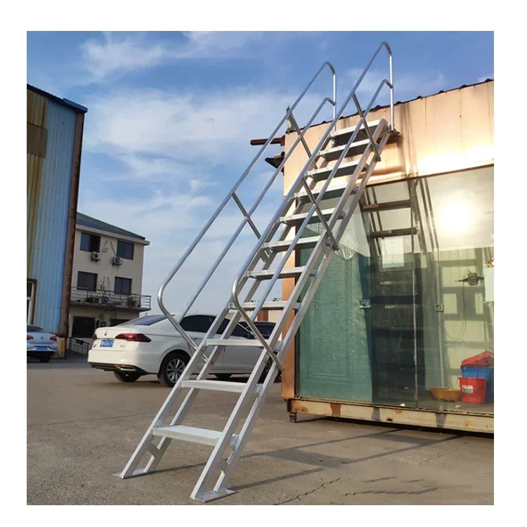 Premium Quality Safety Industrial Capacity Roof Metallic Wall Ladder with Cage Vertical Fire Escape Step Ladders