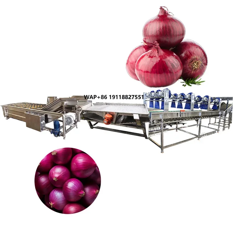 

China Commercial Fruit Vegetable Washing Cleaning Machine for Plums, Apricots, Cherries