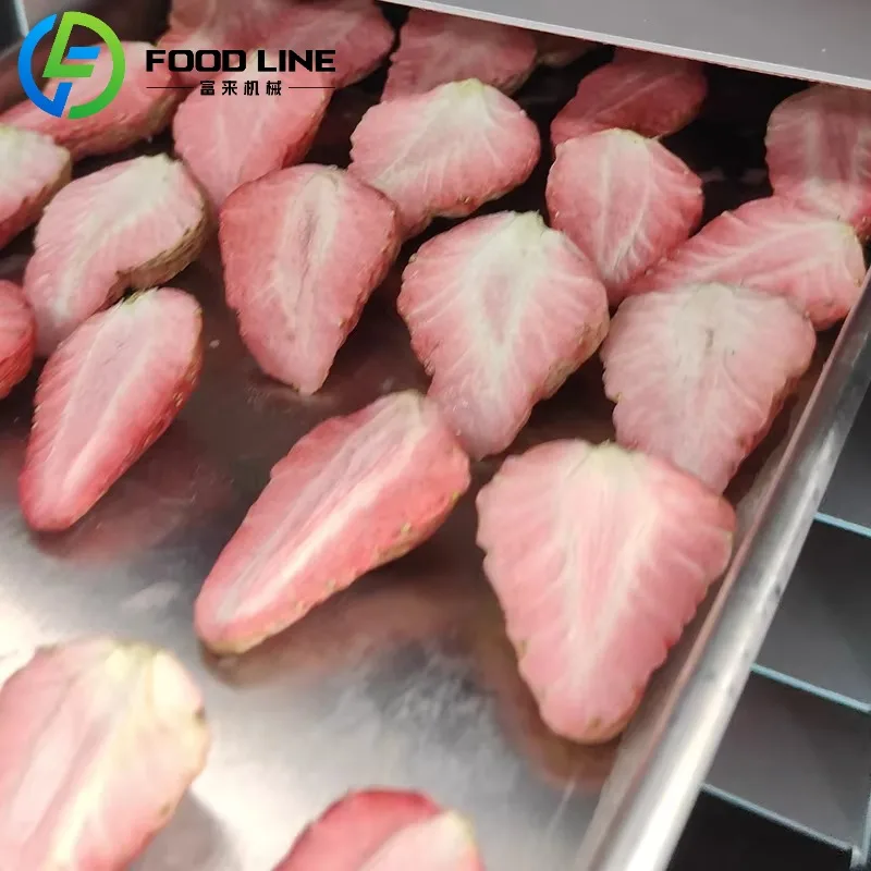 تجميد تجفيف صغير صغير المنزل Lyophilizer فراغ آلة تجفيف بالتجميد للأغذية حلوى الفواكه المشروب البارد القهوة الحليب الزهور