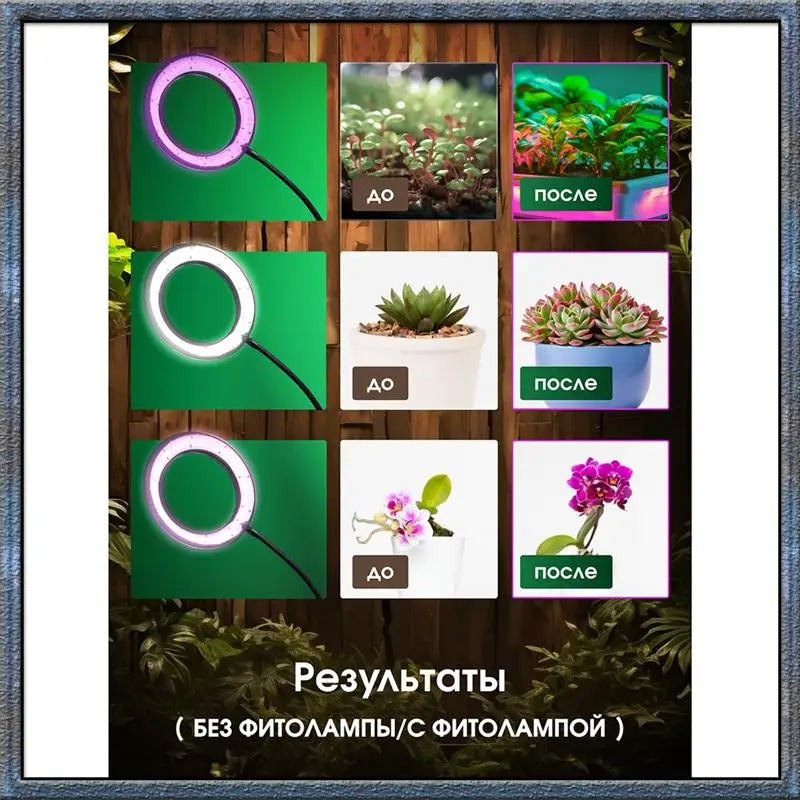 

Top Deals Plant Light, Plant Growth Light, Adjustable Height And Angle, Suitable For Indoor Plants