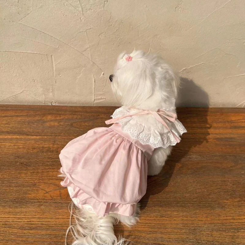 Lace Dog Pumpkin Group Pet Cute Ice Cream Color Pumpkin Skirt Summer Clothes Maltese Cat Bubble Skirt Dog Dresses For Small Dogs