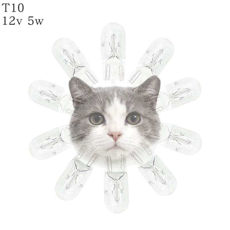 

High quality10pcs Car T10 Halogen W5W 12v Auto Lamp Bulbs Instrument Light Reading Lights Clearance Lamp
