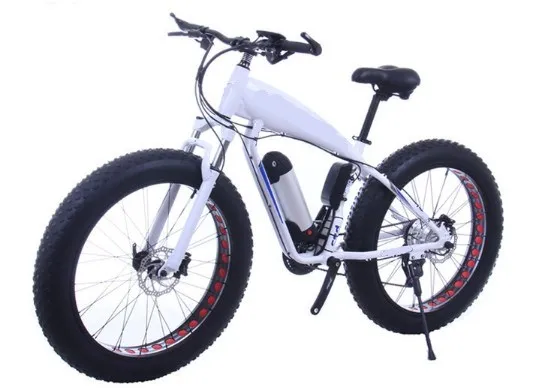 21 speed Electric mountain bicycle 48V 350w 500w 750w 1000wcustom