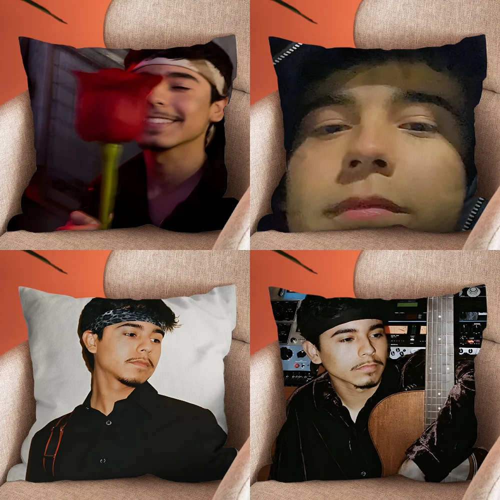 

Ivan Cornejo Singer Pillow Case Soft Cushion Cases for Farmhouse Sofa Decor Home Decorations and Protector Pillow Case