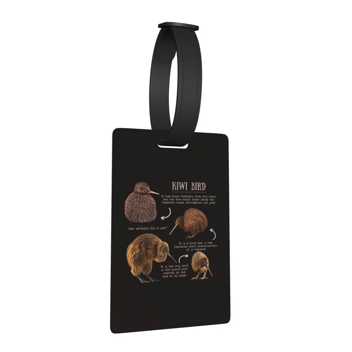 

Kiwi Bird Fun Facts Luggage Tags Suitcase Accessories Travel Baggage Boarding Tag Label Holder ID Name Address