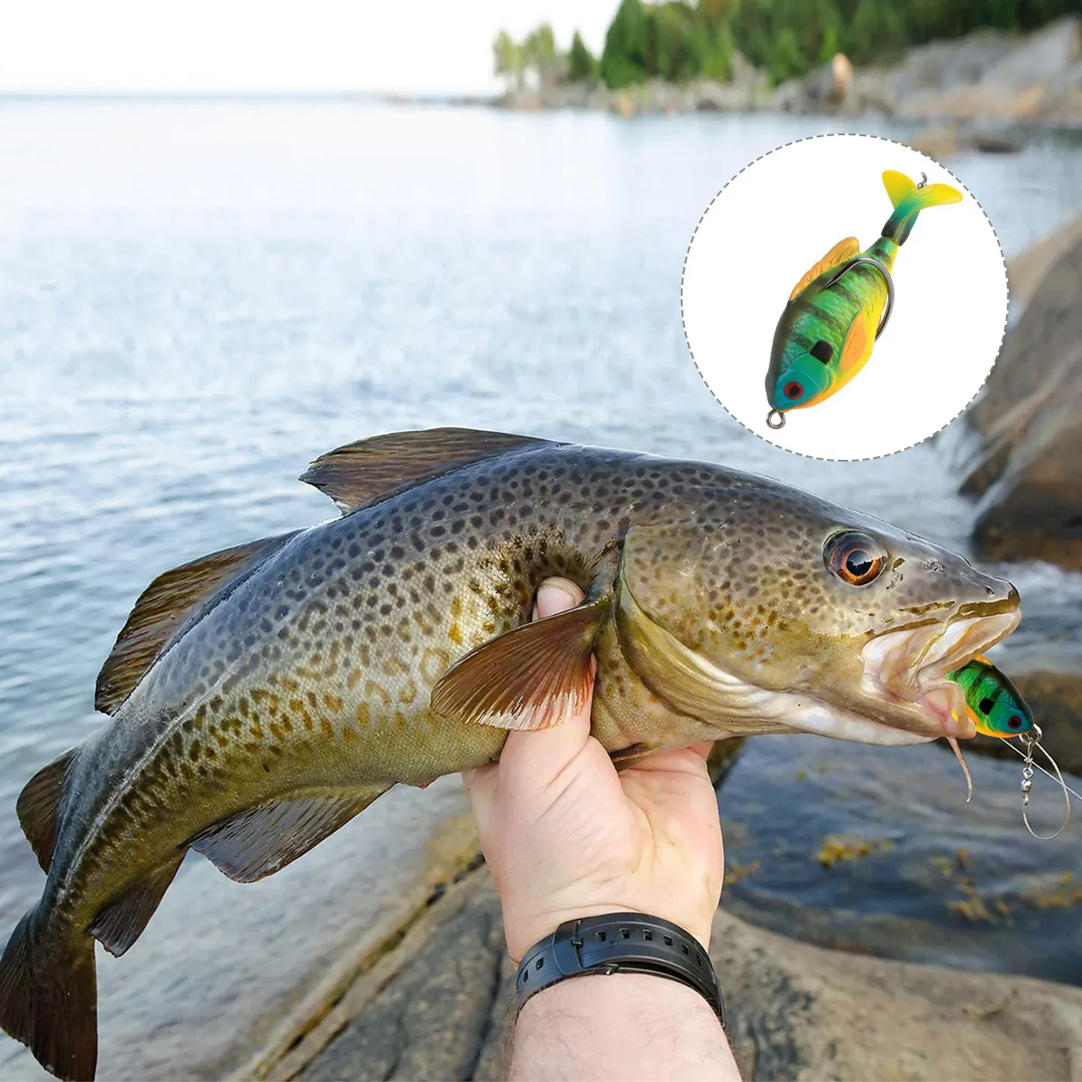 

1Pcs Rotating Simulation Bait Lifelike Realistic Fishing Lure for Freshwater Saltwater Outdoor Fishing Tackle Accessories
