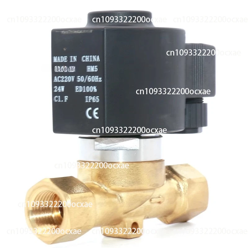 

Solenoid Valve Stage Design Spray Carbon Dioxide Control Unidirectional Solenoid Valve Carbon Dioxide Solenoid Valve