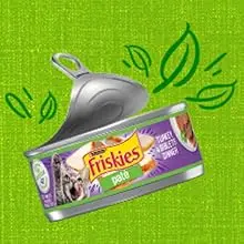 Friskies recyclable can with the lid peeled back and green illustrated leaves floating out