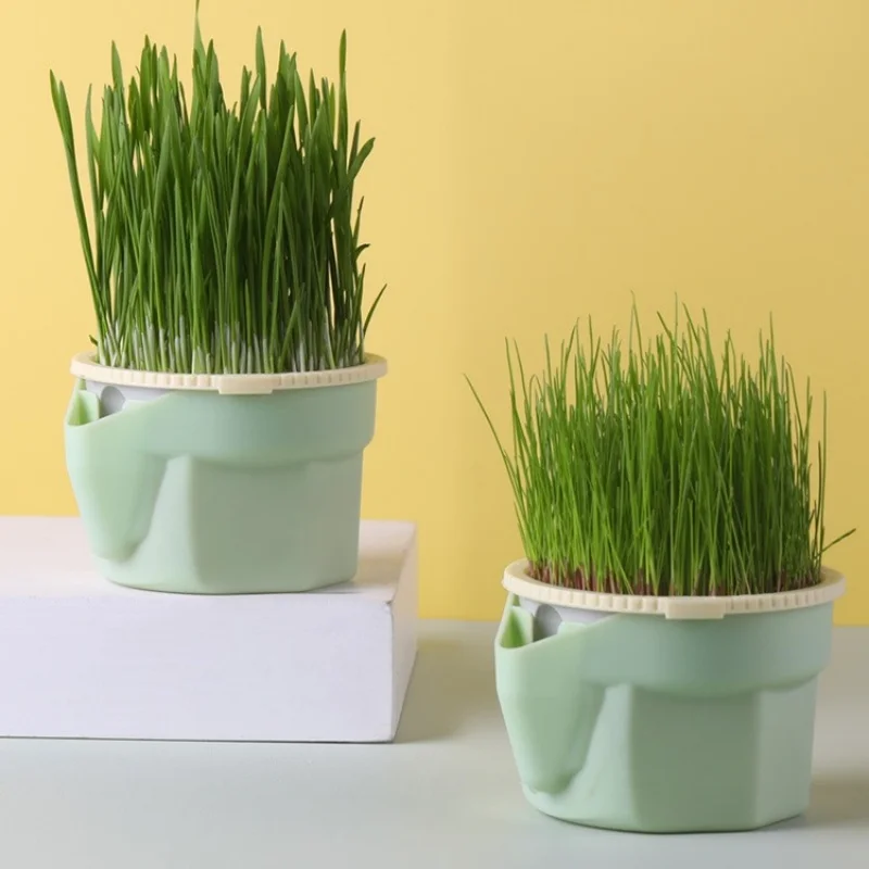 Cat Grass Cup Cat Soil Water Cultivation Cat Grass Container Spreading, Hydropon ic Tank, Peppermint Planting Container seedless