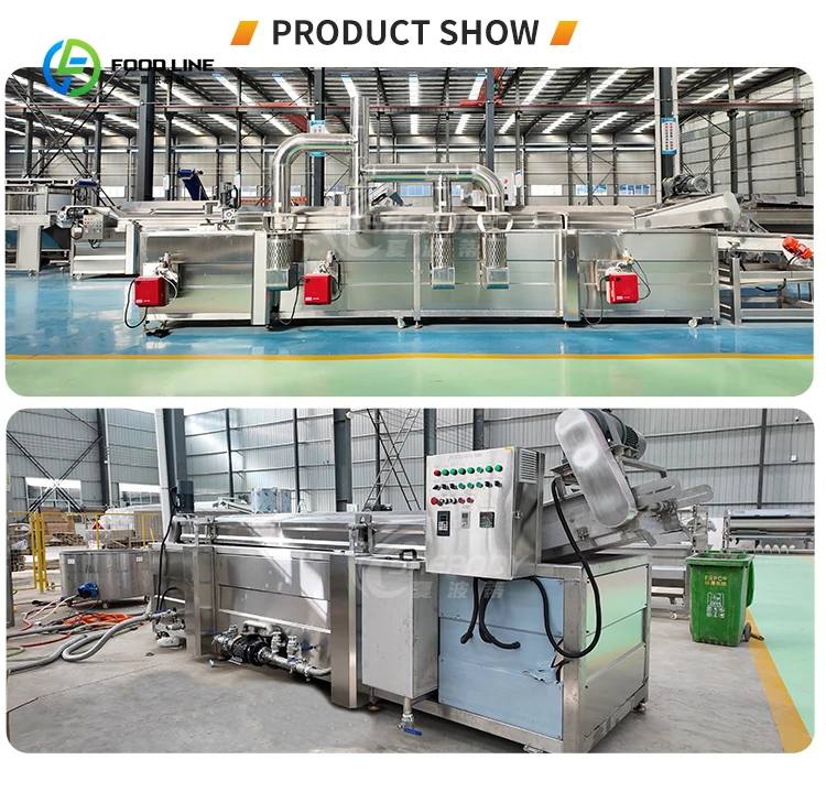 Machine à frire l'oignon automatique industrielle 300Kg/H Machine à frire l'oignon continue