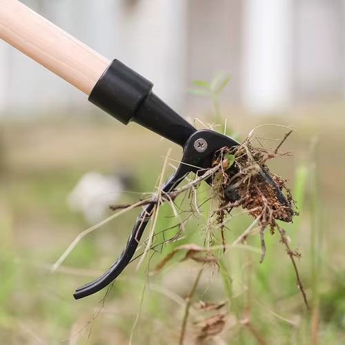 Extracteur manuel de mauvaises herbes avec système à pédale