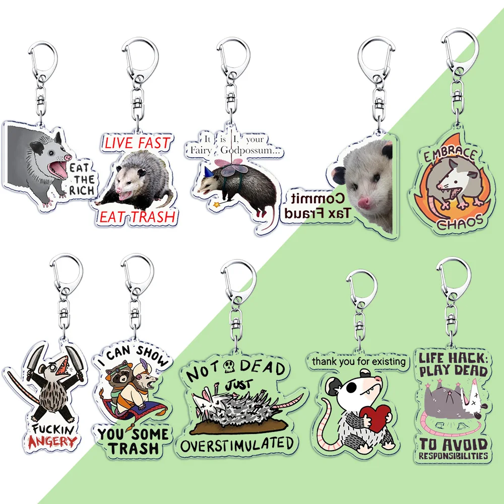 Funny Possum Meme Keychain for Accessories Bag Cute Opossum Pendant Key Chain Ring Animals Quotes Keyring Jewelry Fans Gifts