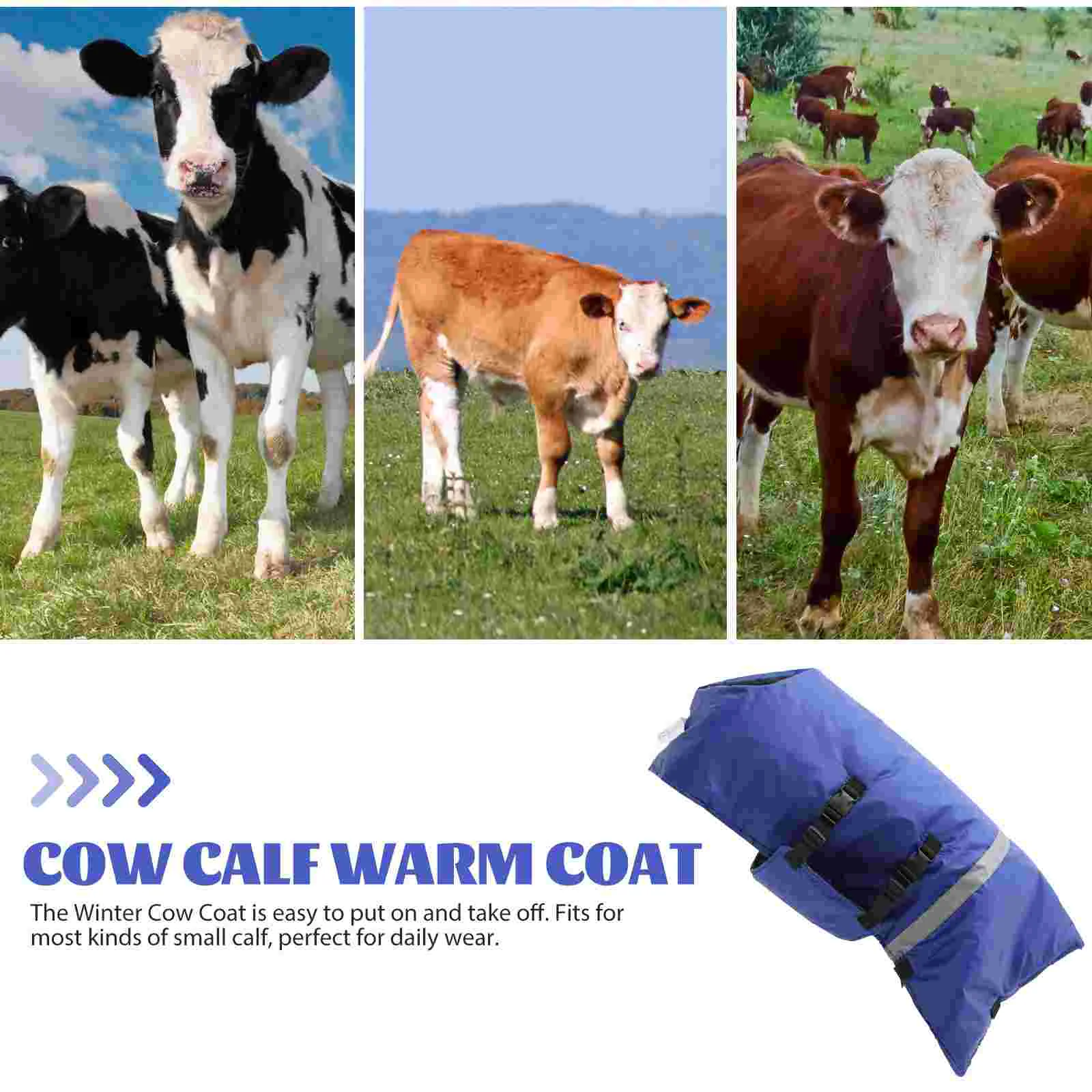 Calf Coat Vest Women Coats Winter Pasture Supplies Lamb Clothing Blue Linoleum Women's