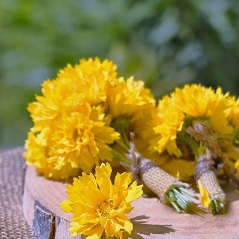 

Радиоуправляемая лодка 2,4 ГГц, скоростной катер с дистанционным управлением, детская игрушка, высокоскоростной гоночный корабль, перезаряжаемые батареи для детей, подарок