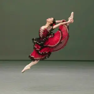 HB067 Free Shipping Girls Ballet Dancing Hair Accessories Don Quixote or  Paquita Headwear Red Hairwear Spanish Dance Head Wear - AliExpress