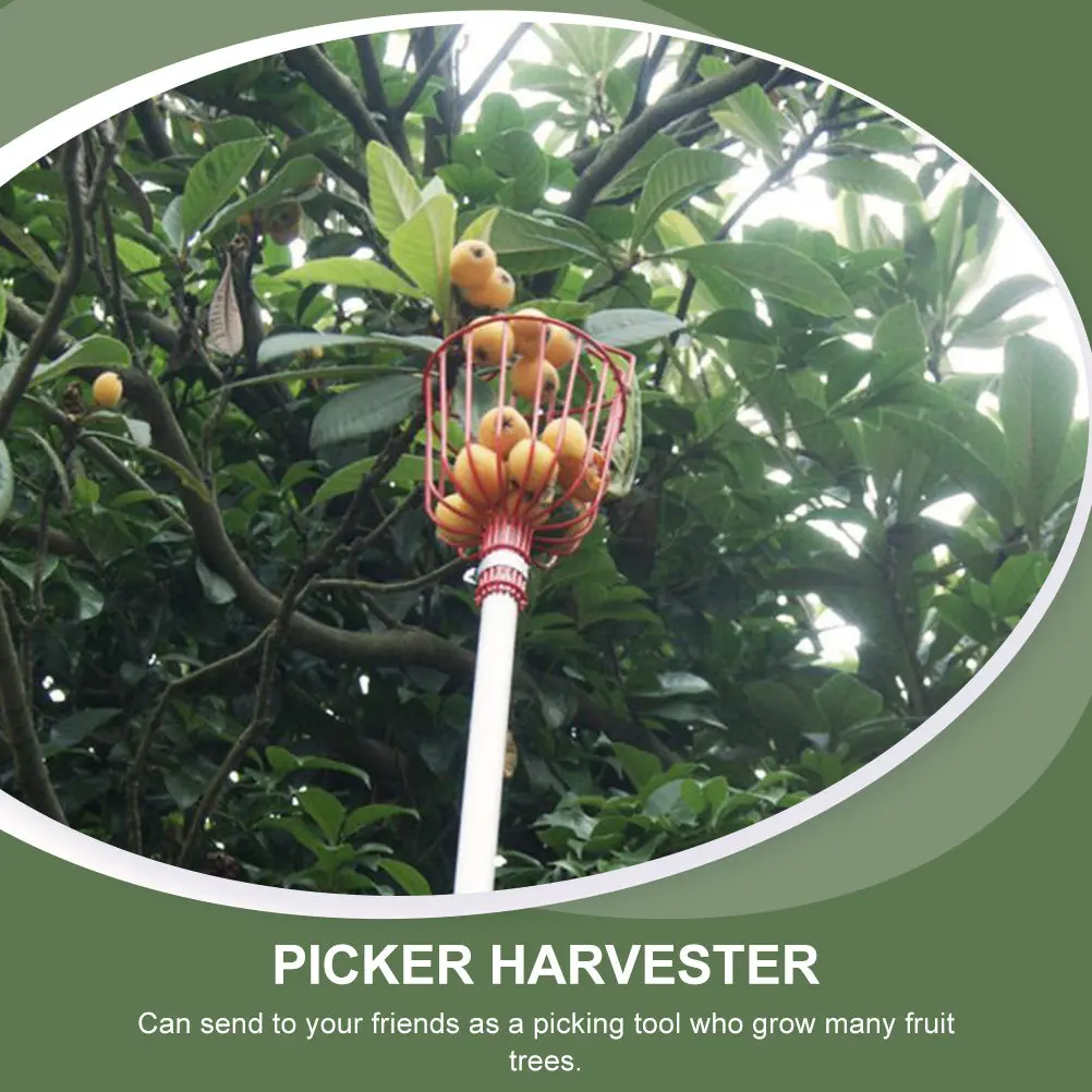 2pcs-fruit-picking-device-compact-lightweight-labor-saving-fruit-harvester-for-peach-pear-orchard-use-jujube-picker