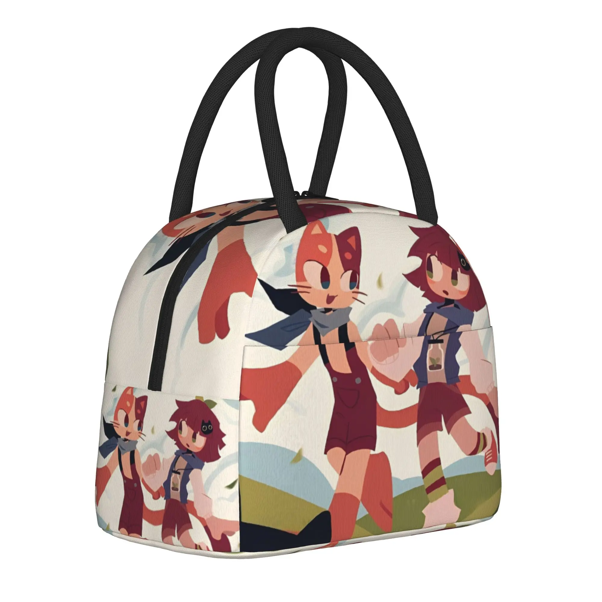 Insulated Lunch Boxes Fundamentals Paper Education Anime Accessories  Lunch Unique Design Cooler Thermal Bento Box For Travel