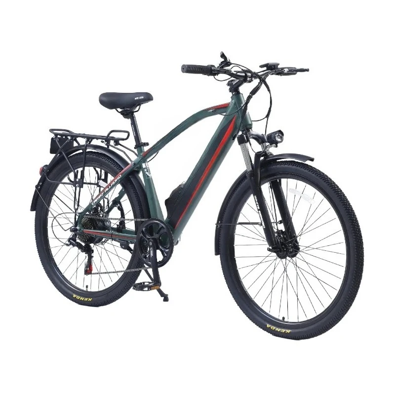 

Factory direct sales, foreign trade export electric car 27.5 best-selling