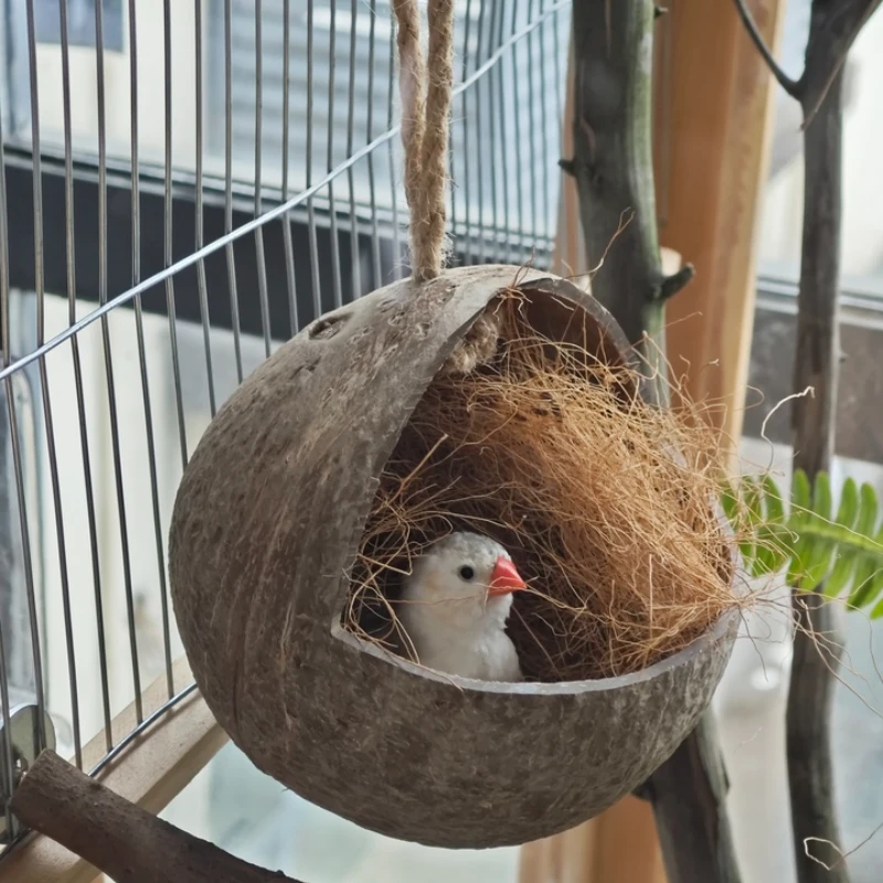 Natural Coconut Shell Parrots Nest House Bed Breeding Nesting Anti-Pecking Bite for Bird Parrot Budgie Parakeet Cockatiel Conure view 5