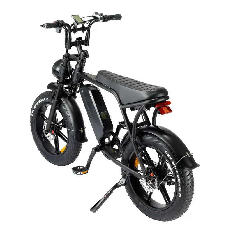 EU Warehouse  V8 Active V8 20-inch Mountain Cross-Country Electric Bike E Bike Fat Tire Electric Cycle 750 Watt