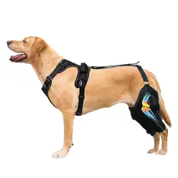 Rear Leg Braces For Dogs Adjustable Canine Care CCL Brace Dogs Back Leg Wrap Canine Care CCL Support Brace For Medium And Large