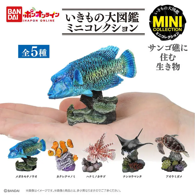 

Brand New Genuine Bandai Large Illustration Marine Life Turtle Clownfish on The Coral Reef Children's Toys Ready in Stock