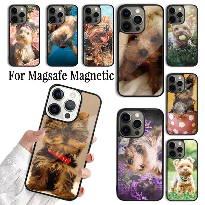 Coque Phone Case For iPhone 16 15 14 13 12 Mini 11 Pro Max Plus Magsafe Magnetic Wireless Charging Cover Yorkshire Terrier Dog