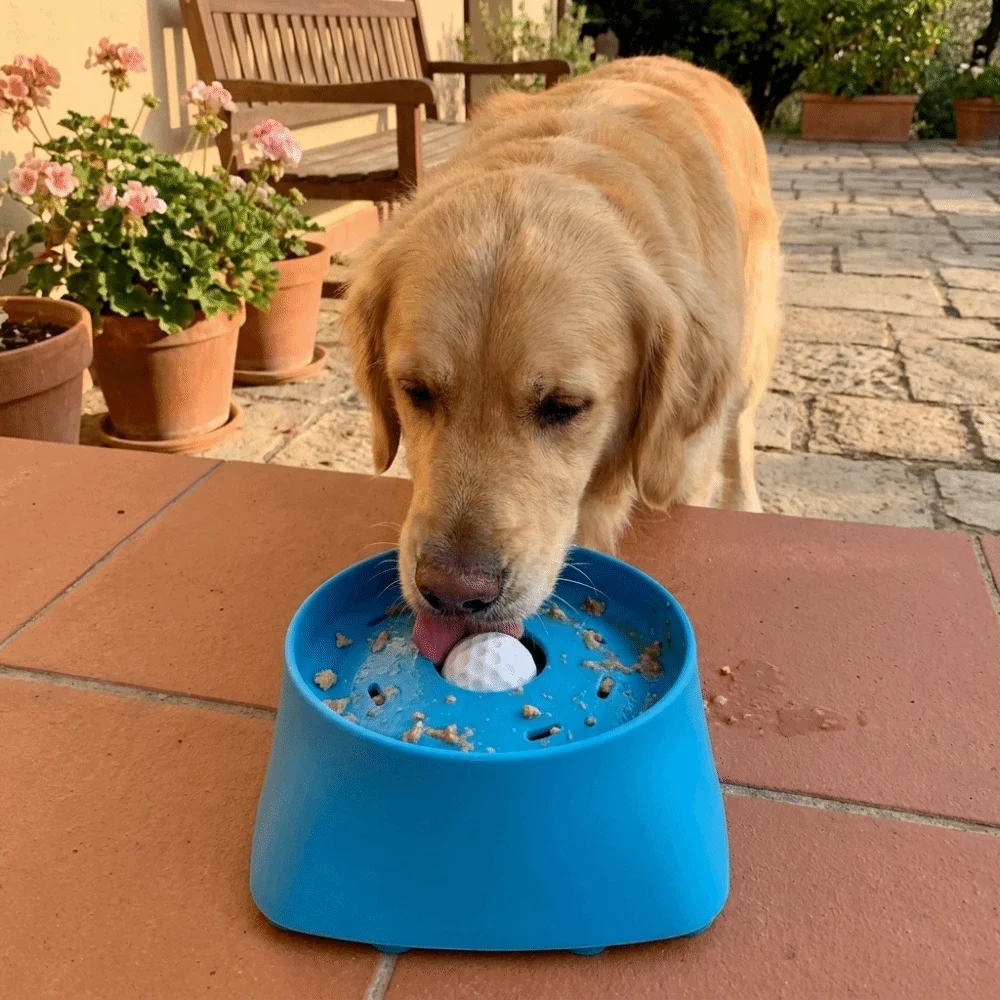 Non-Slip Dog Liquid Lick Bowl Large Capacity Anti-Choking Slow Feeder Dog Bowl Anti-Spill Rolling Ball Pet Feeding Toy