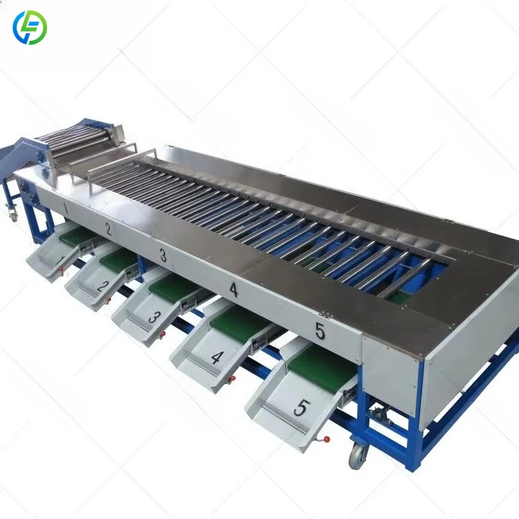 Factory Price Fruit Color Size Machine Vegetable Sorting And Packing Production Line For Sorting Vegetables And Fruit Customized